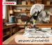 7تله خرید که حتی حرفی ها هم گیر می افتند